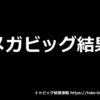 メガビッグ結果